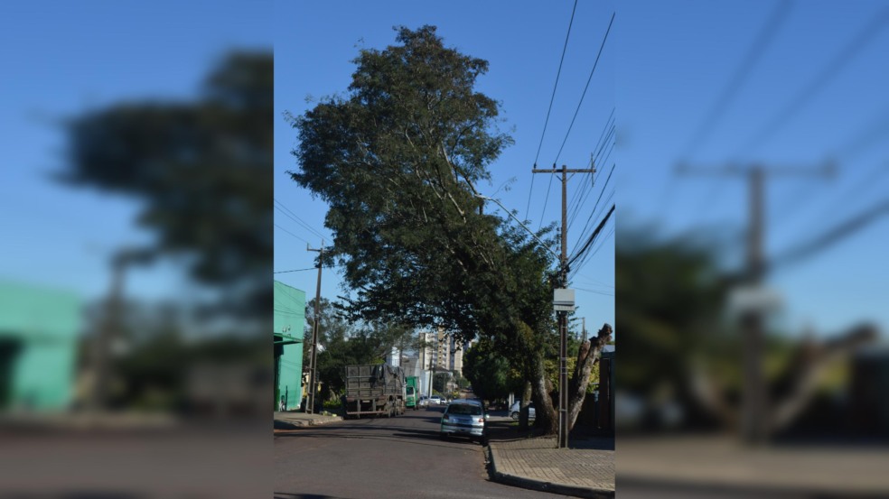 Foto: Paulo Alexandre/O Paraná
