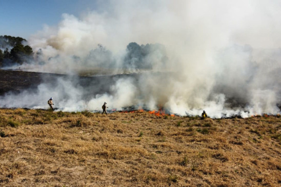 Saiba mais sobre a situação dos incêndios em vegetação no Paraná. Mais de 4 mil casos já foram registrados em 2023 - Foto: Mariano Gomes