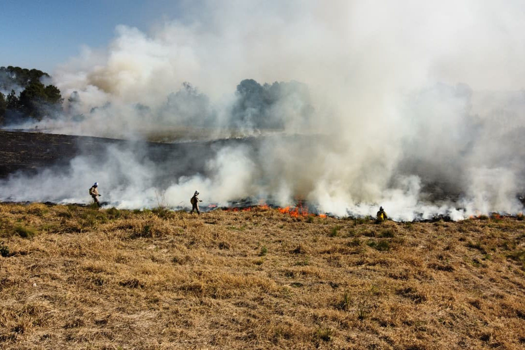 Saiba mais sobre a situação dos incêndios em vegetação no Paraná. Mais de 4 mil casos já foram registrados em 2023 - Foto: Mariano Gomes Saiba mais sobre a situação dos incêndios em vegetação no Paraná. Mais de 4 mil casos já foram registrados em 2023 - Foto: Mariano Gomes