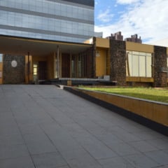 Foto: Arquivo/O Paraná