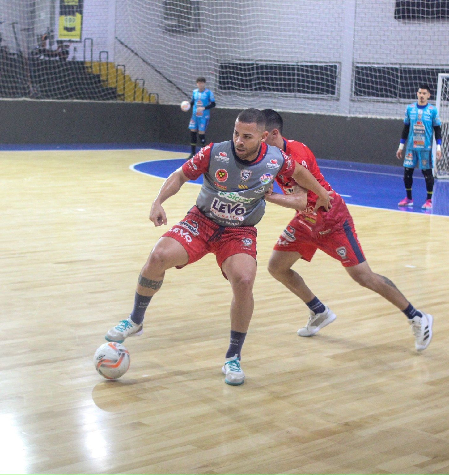 Cascavel Futsal busca vitória crucial contra a ACBF para garantir vaga nas oitavas de final da Liga Futsal - Foto: Assessoria 