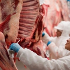 Descubra os resultados expressivos da carne bovina brasileira em agosto de 2025, com um crescimento nas exportações impressionante - Foto: ABRAFRIGO
