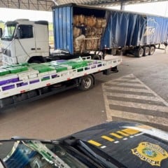 Dois homens foram presos pela Polícia Rodoviária Federal com quase três toneladas de maconha - Foto: PRF