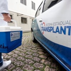 No Dia Nacional da Doação de Órgãos, descubra como o Paraná está salvando vidas com doações e tecnologia notarial - Foto: AEN