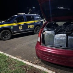 Entenda a operação da PRF que resultou na prisão de um foragido e na apreensão de 416 kg de maconha em Foz do Iguaçu - Foto: PRF