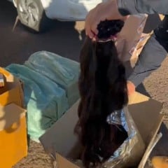 PRF e Receita Federal apreendem cigarros e carga de cabelo de origem paraguaia em Santa Tereza do Oeste