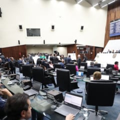 O texto foi votado na sessão plenária desta segunda-feira (15) e busca modernizar a estrutura do colegiado responsável pela política de juventude no estado.
Créditos: Orlando Kissner/Alep