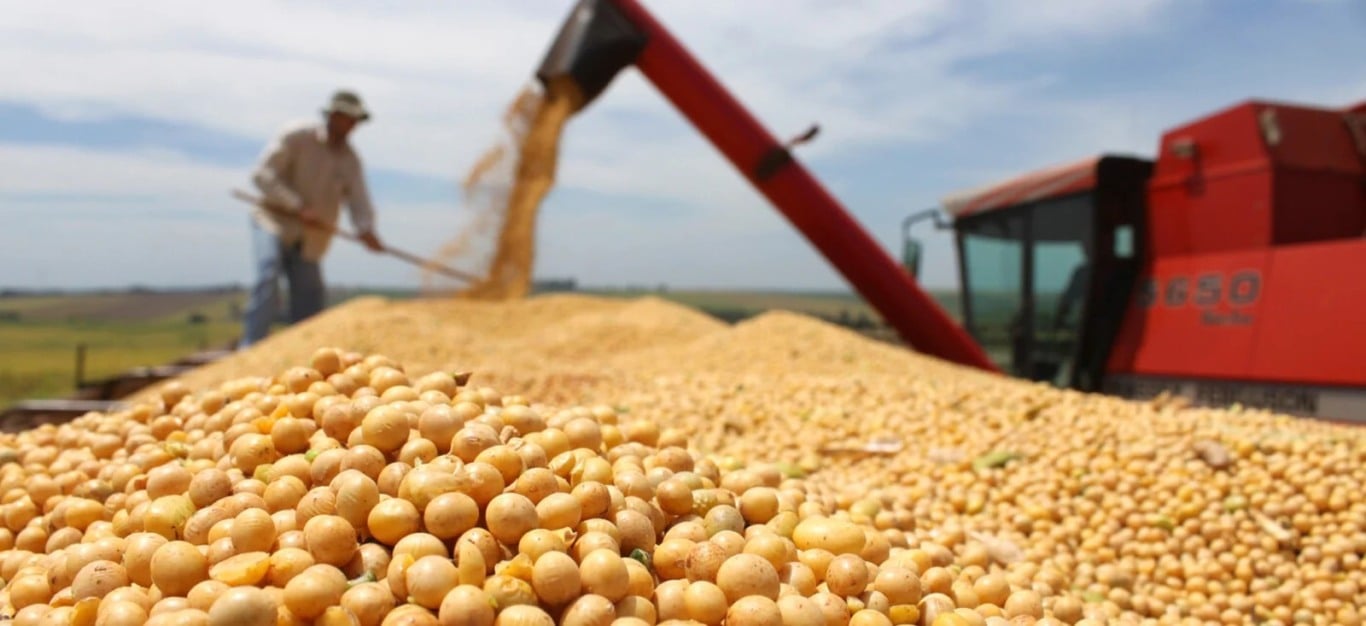 Além de safras frustradas, aumento dos custos de produção e subsídio público aquém da necessidade, elevaram os níveis de endividamento do agro - Foto: Divulgação