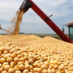 Além de safras frustradas, aumento dos custos de produção e subsídio público aquém da necessidade, elevaram os níveis de endividamento do agro - Foto: Divulgação