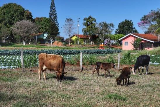 Entenda a regularização fundiária de imóveis rurais no Paraná e como isso afeta milhares de famílias e agricultores - Foto: AEN