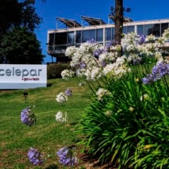 Tribunal de Contas vê “fragilidades” e suspende privatização da Celepar