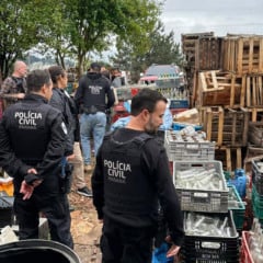 PCPR destrói 300 mil garrafas em operação contra bebidas irregulares em Curitiba e RMC - Foto: PCPR