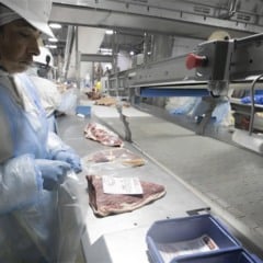 Paraná é referência em proteína animal, mas tem enorme diversidade produtiva com panificação, bebidas, alimentos vegetais e funcionais. Foto: Gelson Bampi
