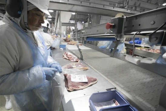 Paraná é referência em proteína animal, mas tem enorme diversidade produtiva com panificação, bebidas, alimentos vegetais e funcionais. Foto: Gelson Bampi
Paraná é referência em proteína animal, mas tem enorme diversidade produtiva com panificação, bebidas, alimentos vegetais e funcionais. Foto: Gelson Bampi