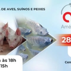 Participe da 24ª edição da AveSui e descubra as inovações em avicultura, suinocultura e tilapicultura no Brasil - Foto: Divulgação