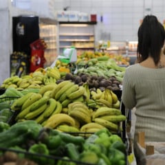 Descubra os dados sobre a segurança alimentar no Paraná, onde 84,7% dos lares estão em situação favorecida em 2024 -  Foto: Geraldo Bubniak/AEN