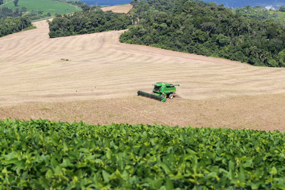 Descubra como Paraná teve a terceira maior alta na produção agrícola, com um aumento significativo em setembro - Foto: Gilson Abreu/AEN