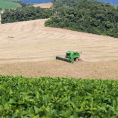 Descubra como Paraná teve a terceira maior alta na produção agrícola, com um aumento significativo em setembro - Foto: Gilson Abreu/AEN