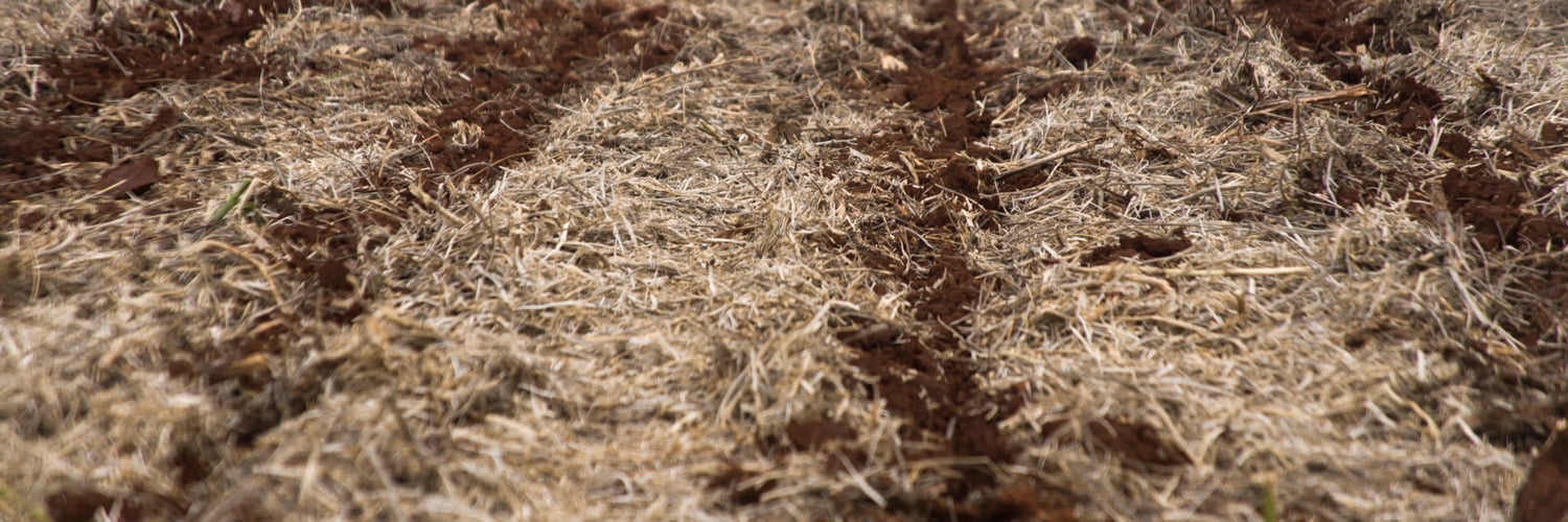 Descubra como o Manejo inovador auxilia na agricultura paranaense frente a eventos climáticos extremos e suas consequências - Foto: FAEP