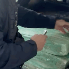 PRF apreende 177 quilos de maconha e armamento na BR-277. Conheça os detalhes dessa abordagem na madrugada de segunda - Foto: PRF