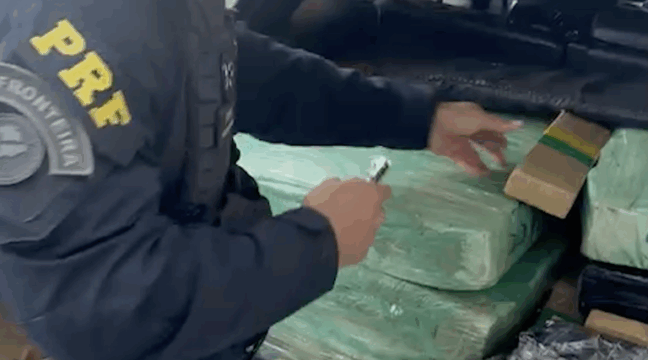 PRF apreende 177 quilos de maconha e armamento na BR-277. Conheça os detalhes dessa abordagem na madrugada de segunda - Foto: PRF
