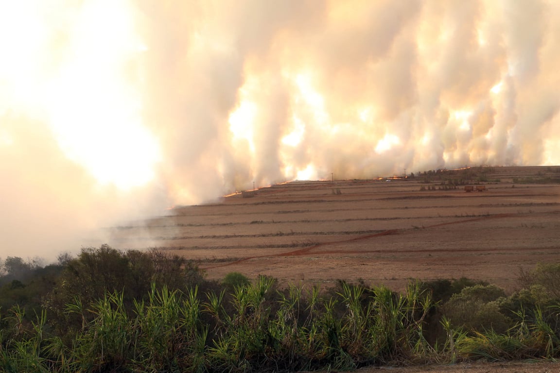 Conheça os impactos da crise climática na economia agropecuária. As perdas da Economia superam R$ 250 bilhões nos últimos anos - Foto: AEN
