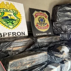 Polícia Federal de Cascavel apreende 288 quilos de maconha em ação conjunta - Foto: Divulgação/PF