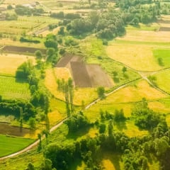 O Governo prorrogou o prazo para o georreferenciamento de propriedades rurais até 2029, facilitando a vida dos produtores - Foto: Divulgação FAEP