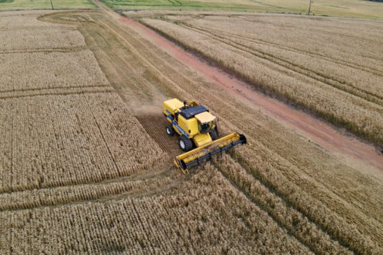 A colheita do trigo segue em ritmo acelerado no Paraná e deve confirmar um recorde histórico de produtividade, mesmo diante das dificuldades impostas pelas chuvas - Foto: Gilson Abreu/AEN