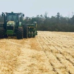 O Paraná se destaca na safra de soja 2025/26, com 31% da área cultivada. Confira as previsões e índices de plantio - Foto: Paulo Mileo