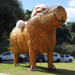 Alguns itens da polêmica decoração em bambu vão se repetir neste ano - Foto: Secom