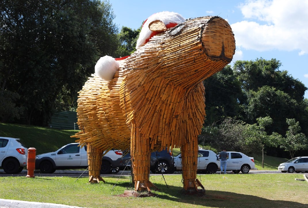 Alguns itens da polêmica decoração em bambu vão se repetir neste ano - Foto: Secom