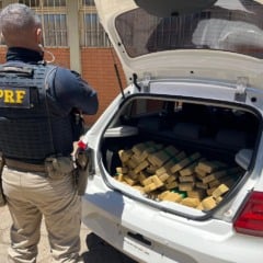 Polícia Rodoviária Federal apreende 101,25 quilos de maconha em Guarapuava. Homem de 22 anos é preso por tráfico - Foto: PRF