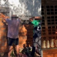 Foto: Divulgação Foto: Divulgação