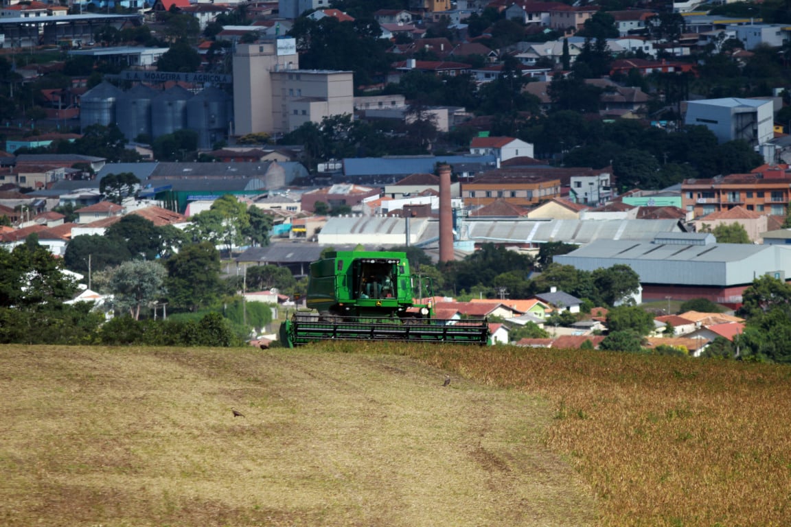 Acompanhe as atualizações sobre a safra no Brasil e como o Paraná se posiciona no cenário agrícola nacional - Foto: Gilson Abreu/AEN