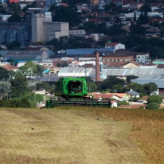 Acompanhe as atualizações sobre a safra no Brasil e como o Paraná se posiciona no cenário agrícola nacional - Foto: Gilson Abreu/AEN
