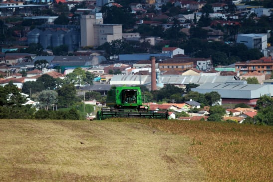 Acompanhe as atualizações sobre a safra no Brasil e como o Paraná se posiciona no cenário agrícola nacional - Foto: Gilson Abreu/AEN Acompanhe as atualizações sobre a safra no Brasil e como o Paraná se posiciona no cenário agrícola nacional - Foto: Gilson Abreu/AEN