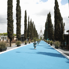 Cascavel inicia homenagens no Dia de Finados com missas diárias no Cemitério Central. Confira a programação completa - Foto: Secom