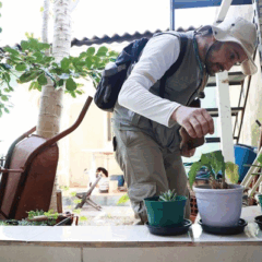 Cascavel realiza o último LIRAa de 2025 com resultados positivos, mas atenção para regiões com índices elevados de infestação - Foto: Secom