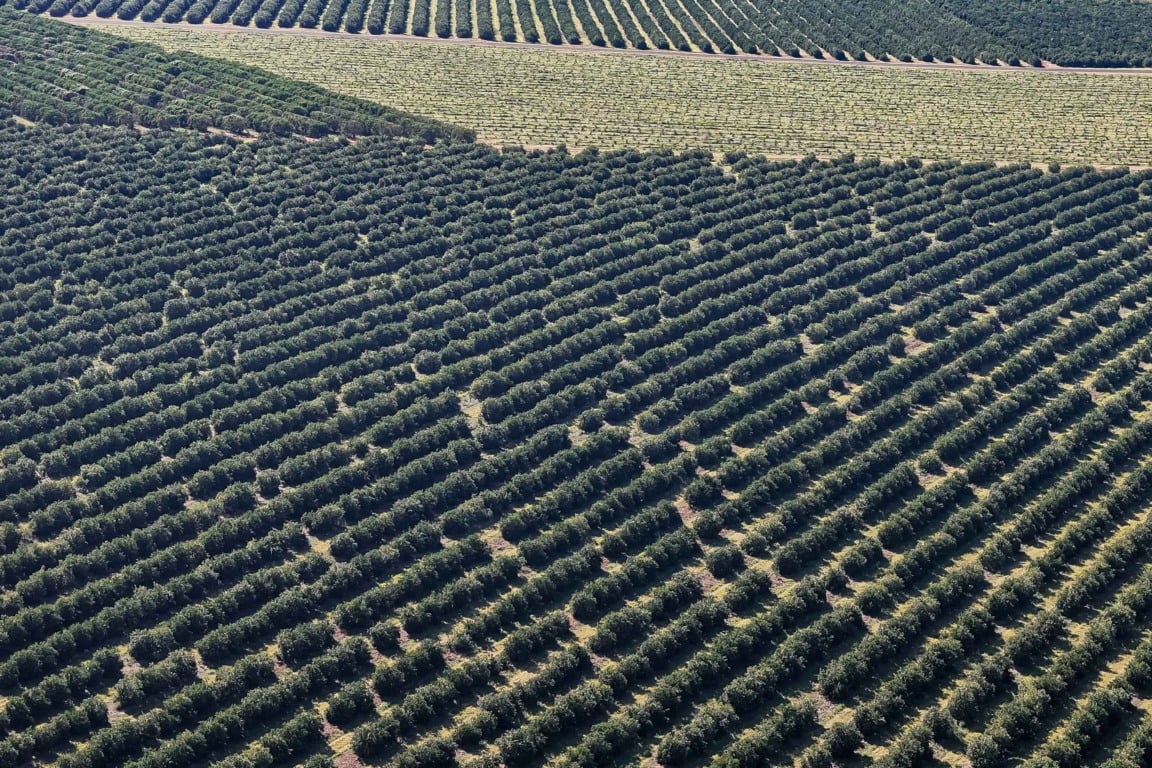 Paraná lidera investimentos agrícolas com R$ 730,91 milhões em 2025, superando outros estados brasileiros em recursos - Foto: Roberto Dziura Jr/AEN