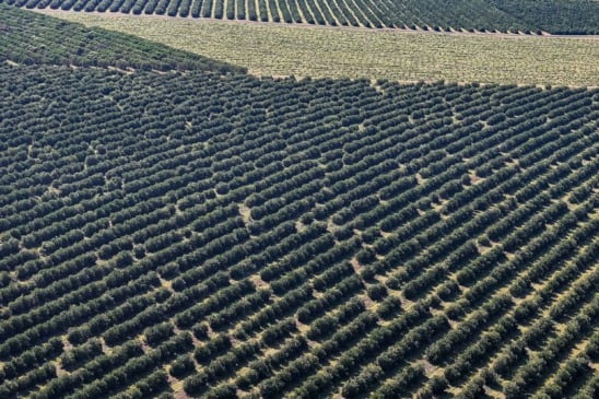 Paraná lidera investimentos agrícolas com R$ 730,91 milhões em 2025, superando outros estados brasileiros em recursos - Foto: Roberto Dziura Jr/AEN