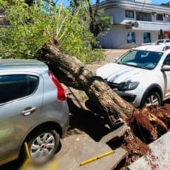 Foto: Divulgação/Toledo News