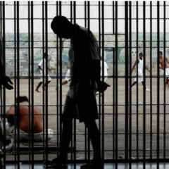 Mutirão Penal libera 9 mil pessoas e revisa condenações