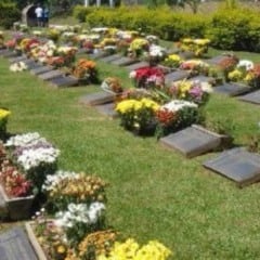 Missas em todos os cemitérios e transporte gratuito marcam Dia de Finados em Cascavel