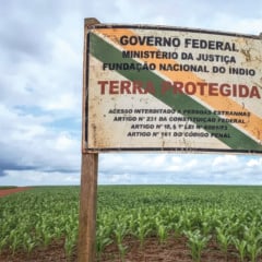 FPA apresenta notícia-crime à PGR contra Lula e ministros por atos de demarcação de terras indígenas em desacordo com a lei - Foto: Lidiane Ribeiro/Ibama 