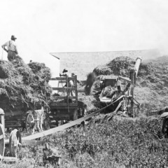 Descubra a importância do álcool como combustível para carros no Brasil e a história por trás dessa prática desde os anos 70 - Foto: Divulgação