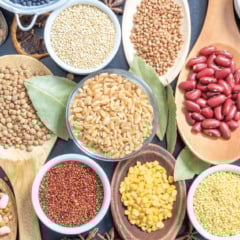 A programação também contará com debates sobre inovação e sustentabilidade, reunindo produtores, pesquisadores, estudantes e representantes do agronegócio - Foto: Ibrafe 