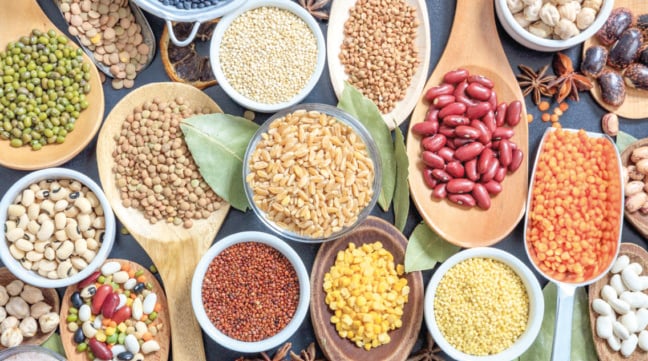 A programação também contará com debates sobre inovação e sustentabilidade, reunindo produtores, pesquisadores, estudantes e representantes do agronegócio - Foto: Ibrafe 