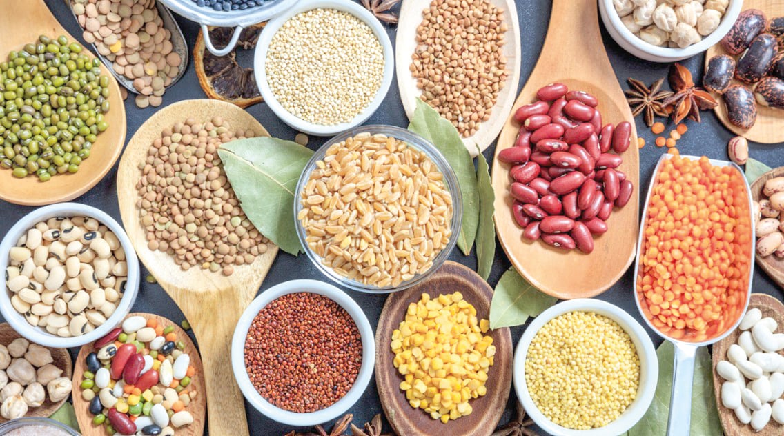 A programação também contará com debates sobre inovação e sustentabilidade, reunindo produtores, pesquisadores, estudantes e representantes do agronegócio - Foto: Ibrafe 