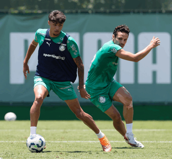 Acompanhe os jogos deste fim de semana do Brasileirão. Líderes em campo e disputas acirradas pelo título prometem emoções - Foto: Cesar Greco/Palmeiras

